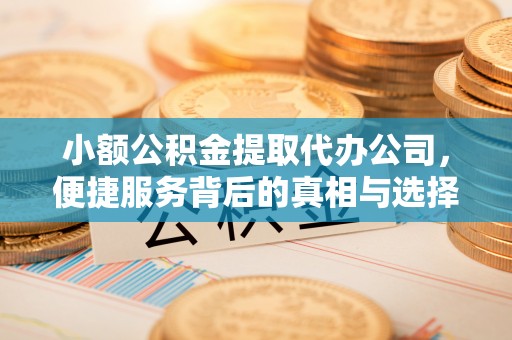 滨湖小额公积金提取代办公司，便捷服务背后的真相与选择