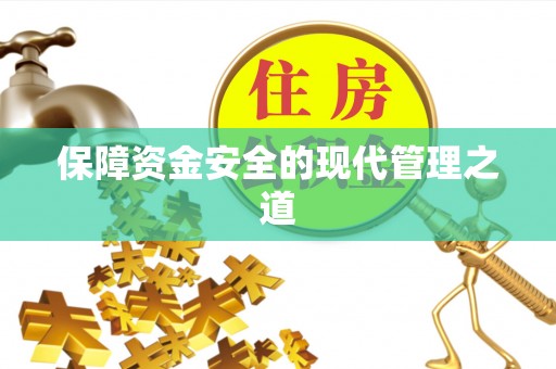 滨湖保障资金安全的现代管理之道