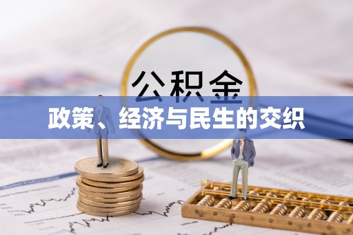 滨湖政策、经济与民生的交织