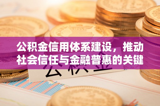 滨湖公积金信用体系建设，推动社会信任与金融普惠的关键一步