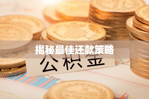 滨湖揭秘最佳还款策略