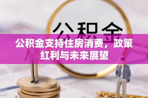 滨湖公积金支持住房消费，政策红利与未来展望