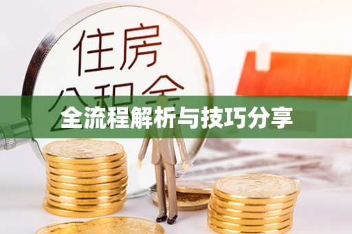 滨湖全流程解析与技巧分享