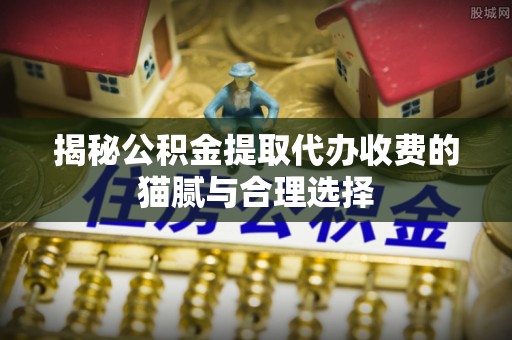 滨湖揭秘公积金提取代办收费的猫腻与合理选择