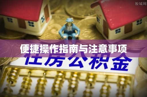 滨湖便捷操作指南与注意事项