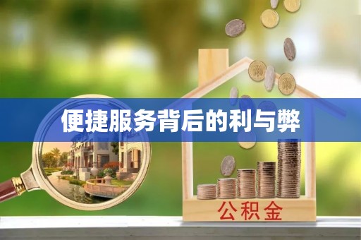 滨湖便捷服务背后的利与弊